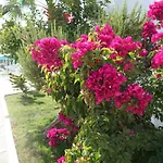 Hotel Casa Aria 2*
