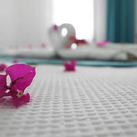 Ξενοδοχείο Casa Aria 2*