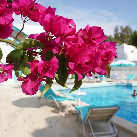 Casa Aria 2* Gümbet