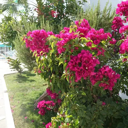 Otel Casa Aria 2*